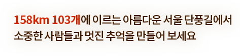 158km 103개에 이르는 아름다운 서울 단풍길에서 소중한 사람들과 멋진 추억을 만들어 보세요