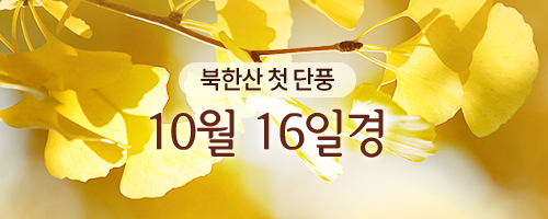 북한산 첫 단풍 10월 16일