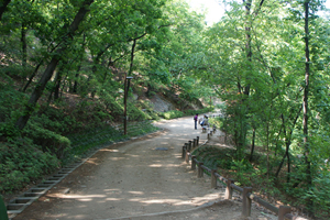 북서울꿈의숲 남측 숲길