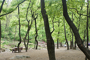 관악산 시흥계곡