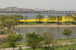 반포한강공원 서래섬 산책길